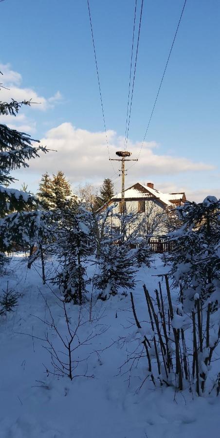 Domek pod lasem Majdan Stulenski Exteriér fotografie